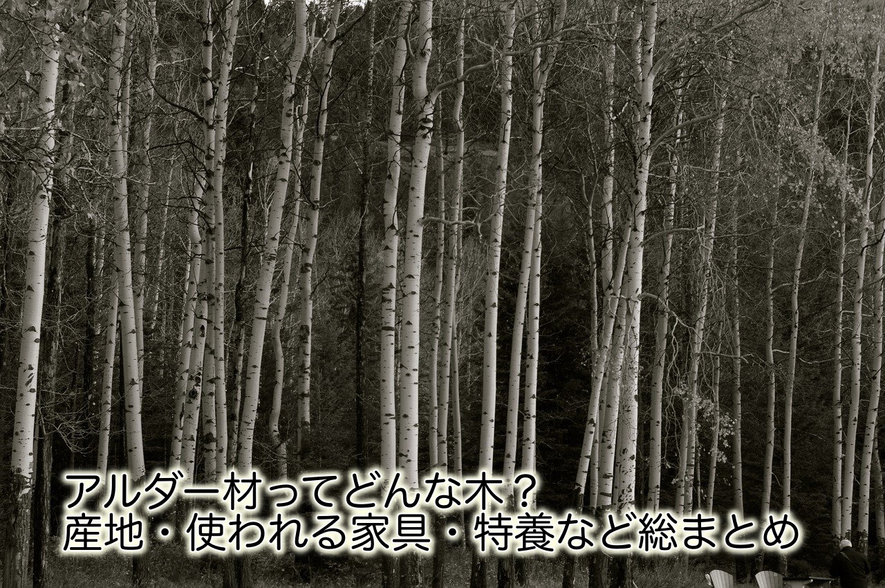 アルダー材ってどんな木 産地 使われる家具 特徴など総まとめ Iyを楽しめる多種な木材